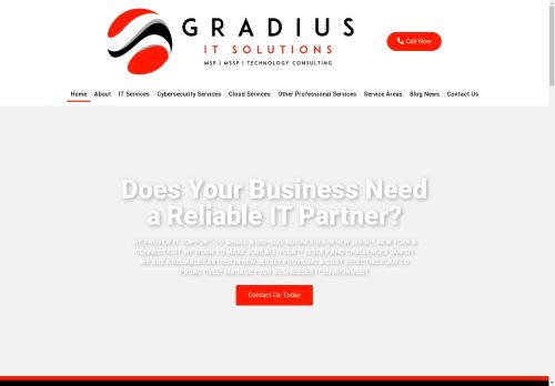 Gradius Solutions